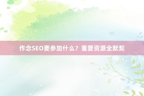 作念SEO要参加什么？重要资源全默契