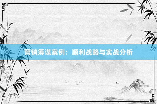 营销筹谋案例：顺利战略与实战分析