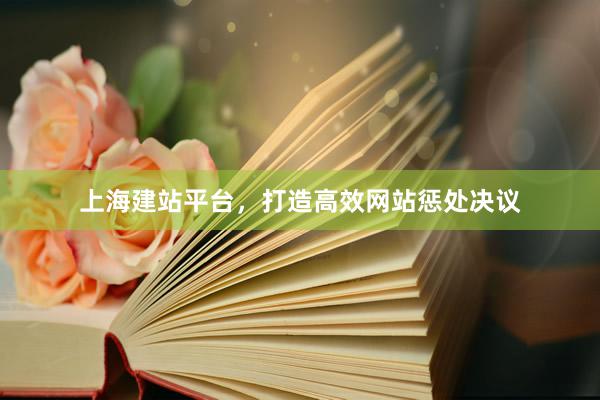 上海建站平台，打造高效网站惩处决议